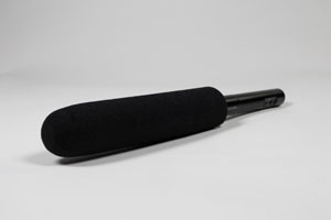Mic